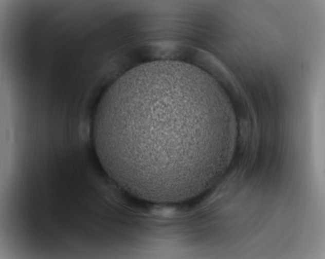 X0000094330602200711161951