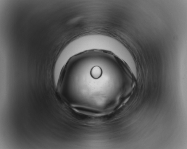 X0000094330604200711161951