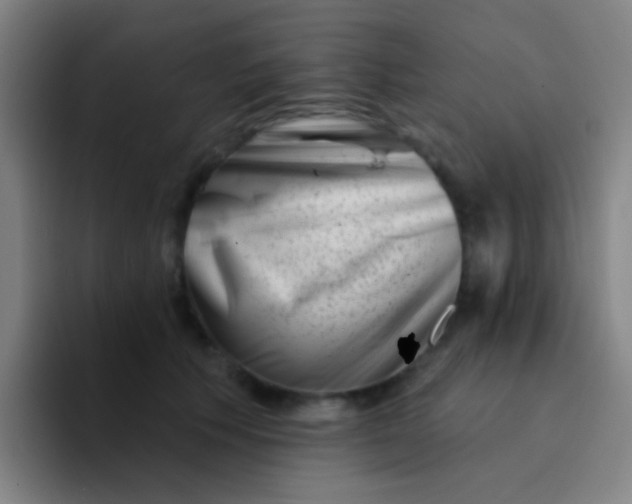 X0000094330609200711161951