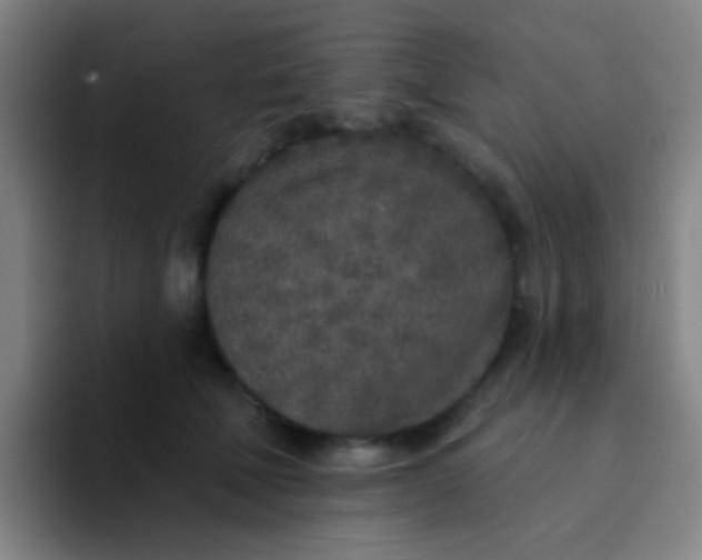 X0000094330610200711161951