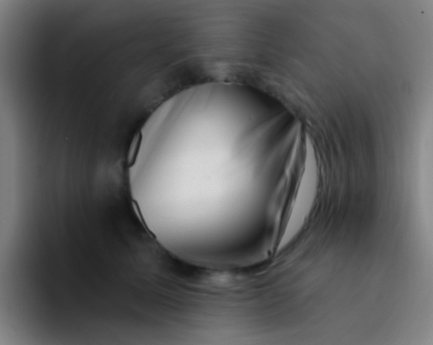 X0000094330611200711161951