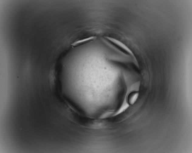 X0000094330612200711161951