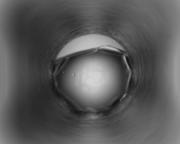 X0000094330613200711161951