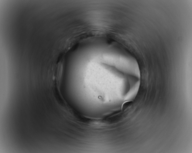 X0000094330614200711161951