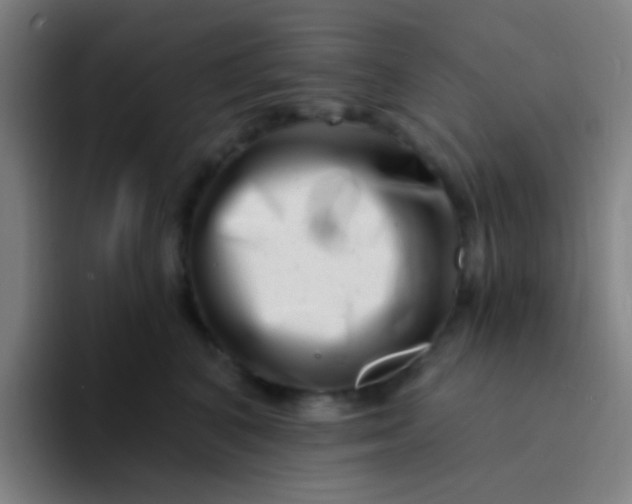 X0000094330616200711161951
