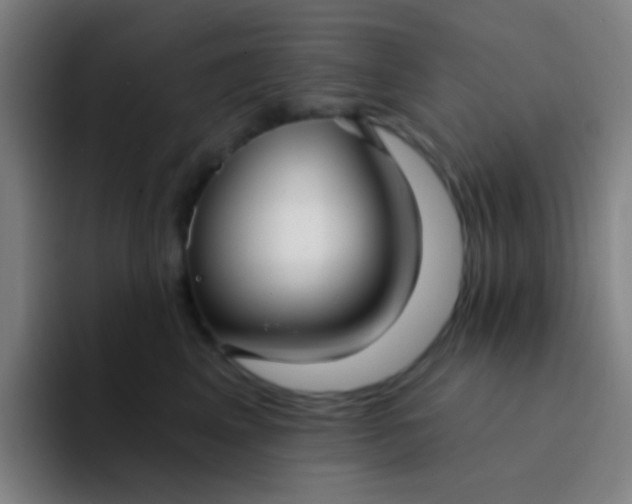 X0000094330617200711161951