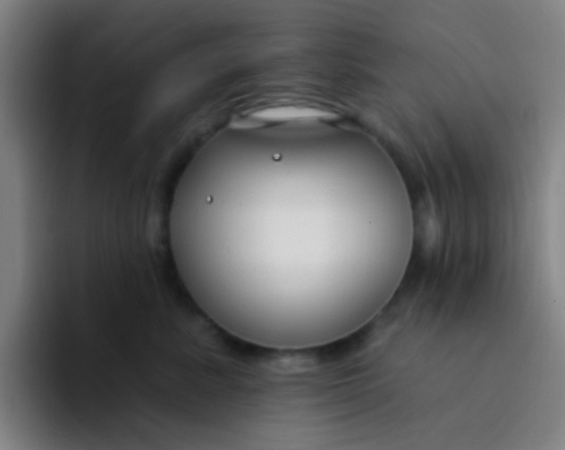 X0000094330619200711161951