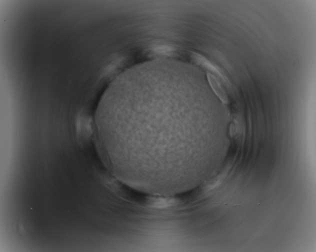 X0000094330621200711161951