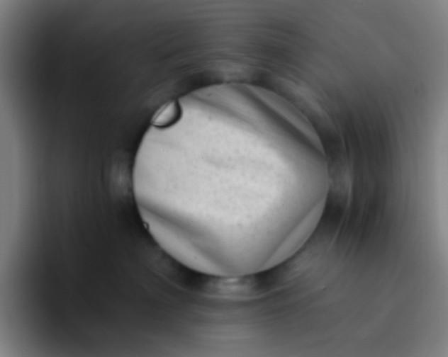 X0000094330622200711161951