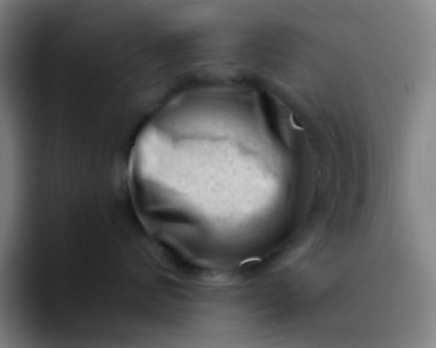 X0000094330624200711161951