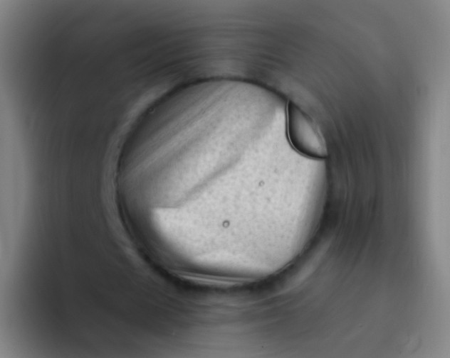 X0000094330625200711161950