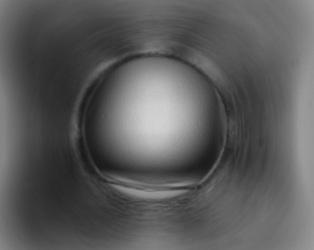 X0000094330628200711161950