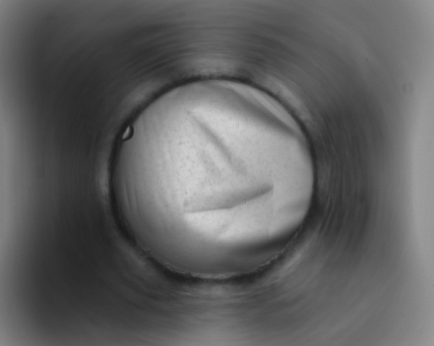 X0000094330629200711161950