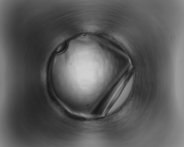 X0000094330630200711161950