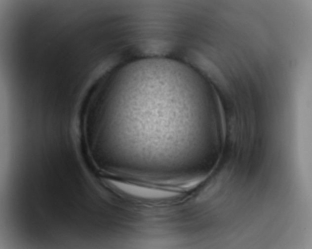 X0000094330634200711161950