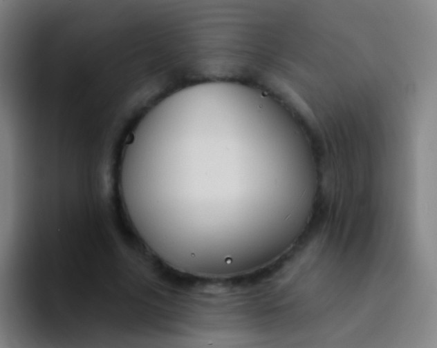 X0000094330635200711161950