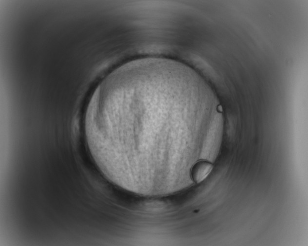 X0000094330636200711161950