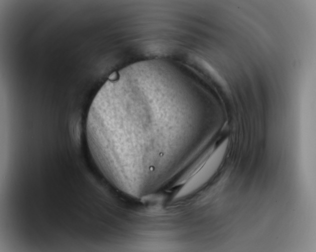 X0000094330637200711161950