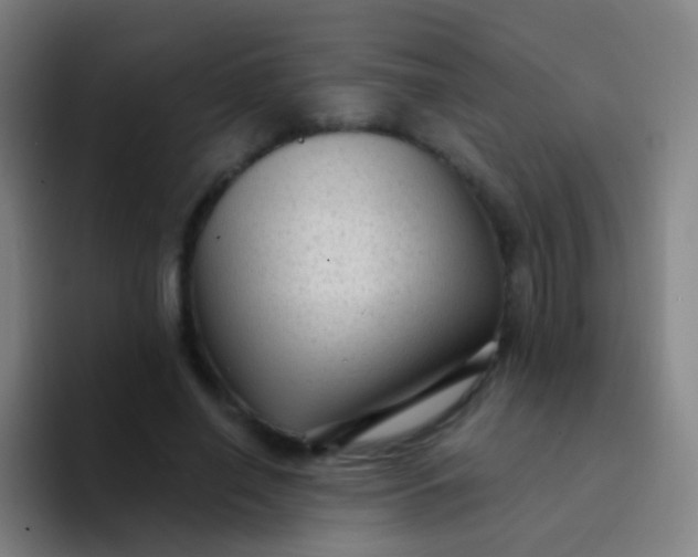 X0000094330638200711161950