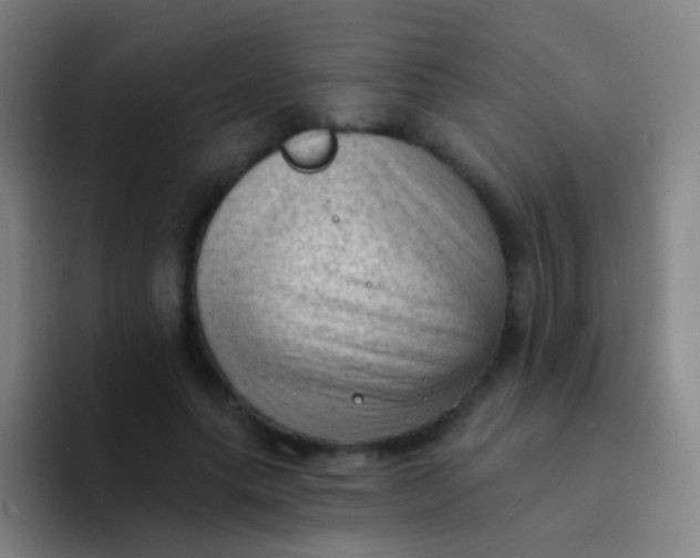 X0000094330639200711161950