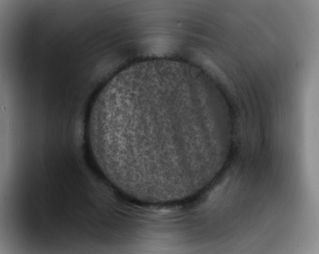 X0000094330640200711161950