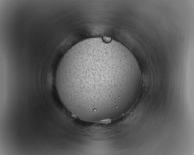 X0000094330648200711161951