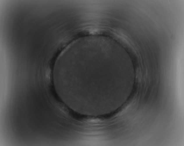 X0000094330650200711161951