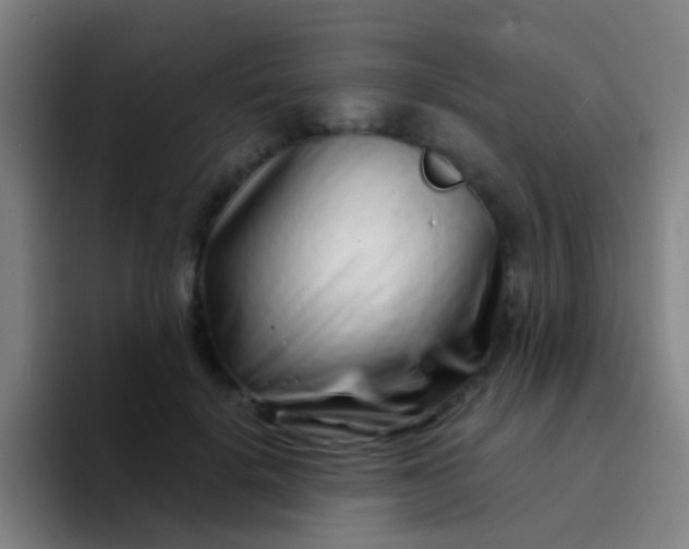 X0000094330652200711161951
