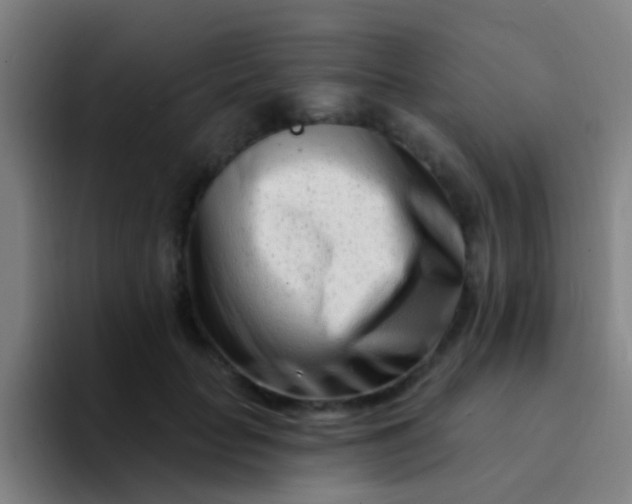 X0000094330653200711161951