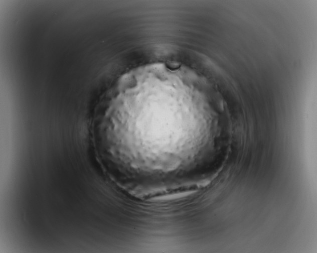 X0000094330654200711161951