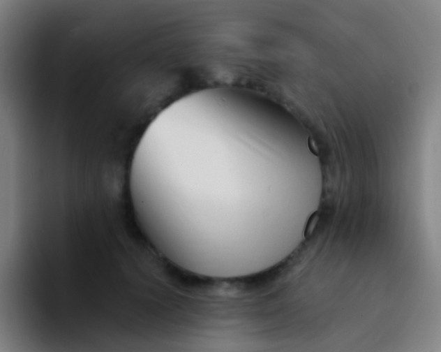 X0000094330656200711161951