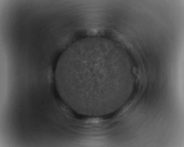 X0000094330659200711161951
