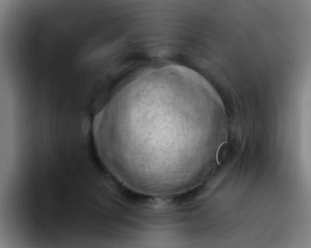 X0000094330660200711161951