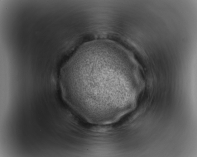 X0000094330661200711161951