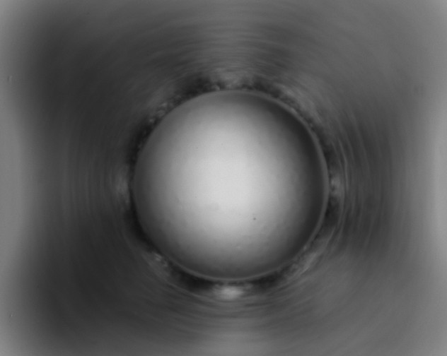 X0000094330662200711161951