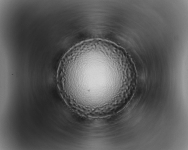 X0000094330663200711161951
