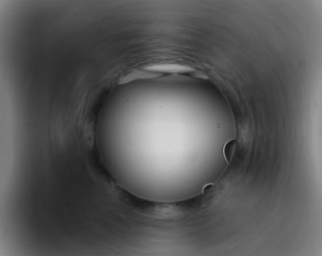 X0000094330666200711161951