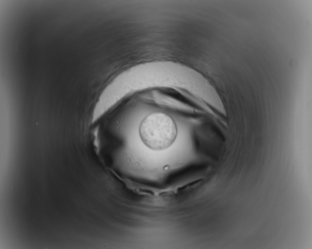 X0000094330672200711161951