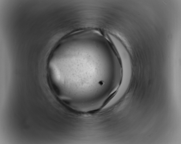 X0000094330673200711161950