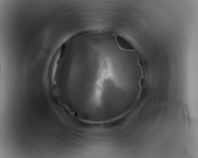 X0000094330674200711161950