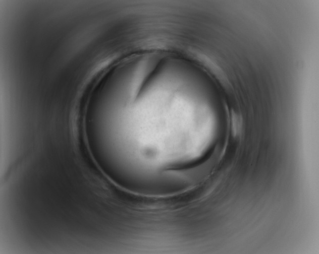 X0000094330675200711161950
