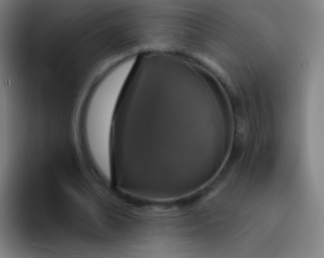 X0000094330678200711161950