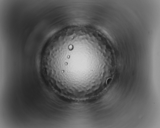X0000094330679200711161950