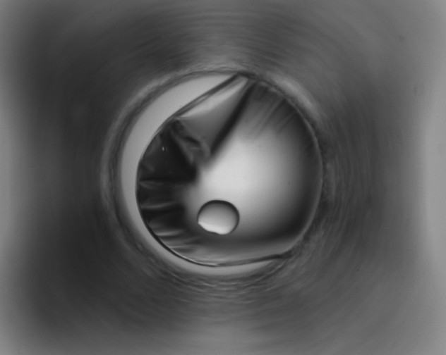 X0000094330680200711161950