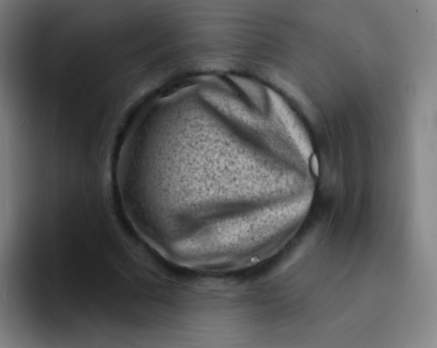 X0000094330681200711161950