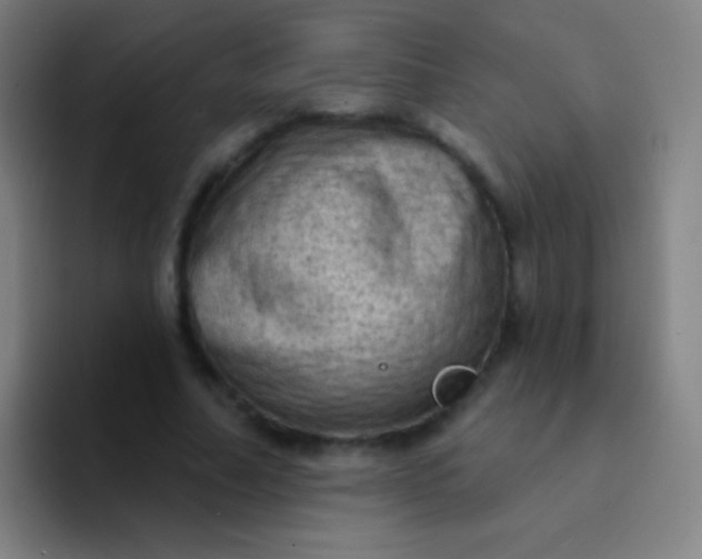 X0000094330682200711161950