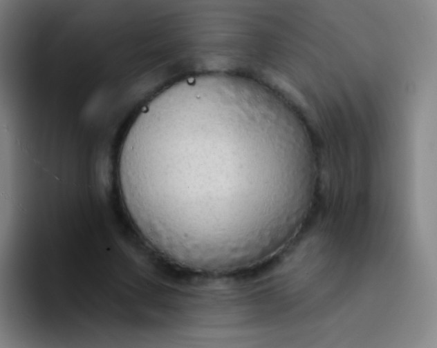 X0000094330683200711161950