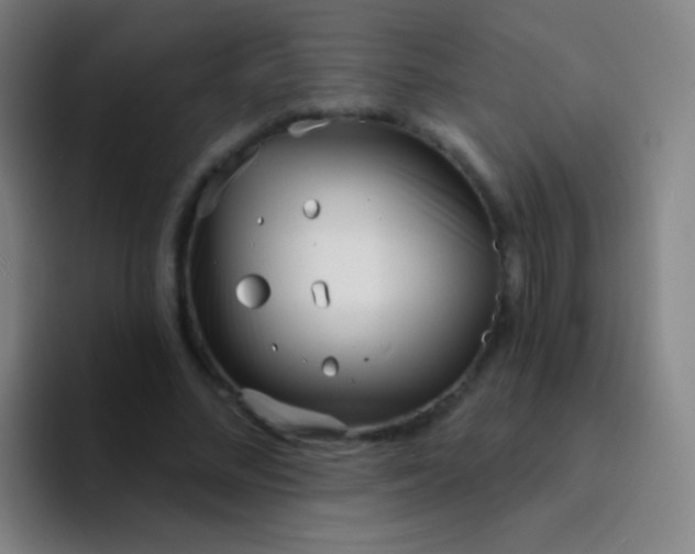 X0000094330684200711161950
