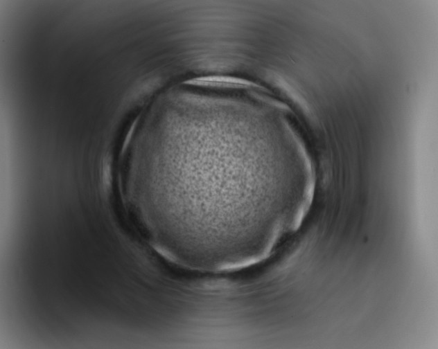 X0000094330685200711161950