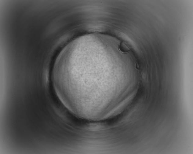 X0000094330686200711161950
